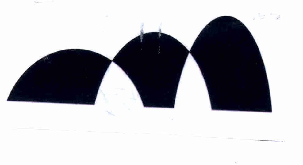 Publication Image