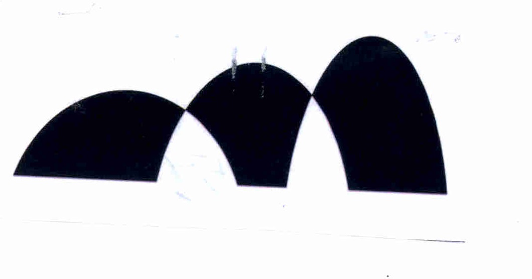 Publication Image