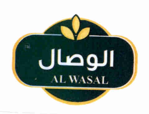 Publication Image