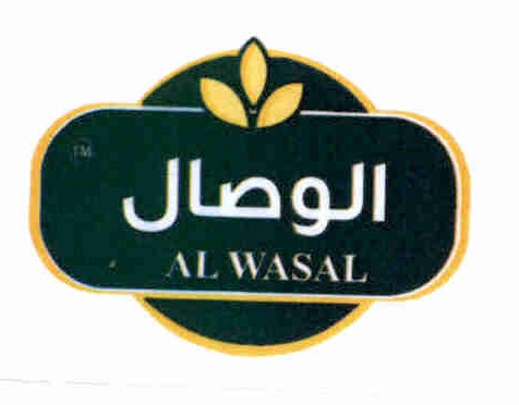 Publication Image