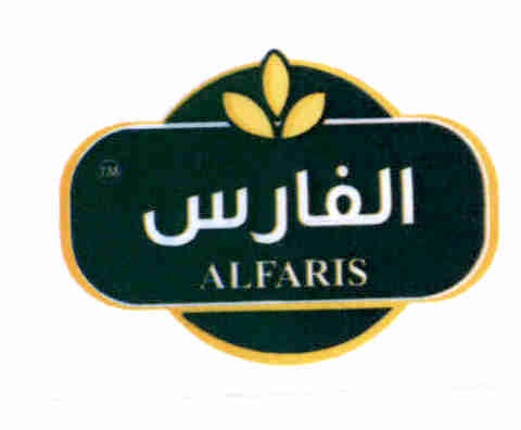 Publication Image