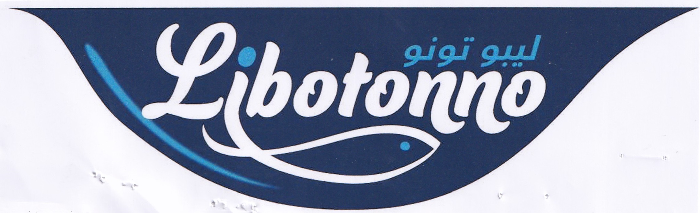 Publication Image