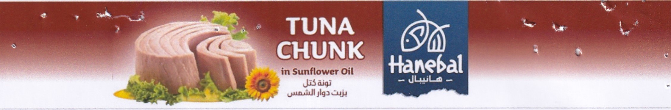 Publication Image