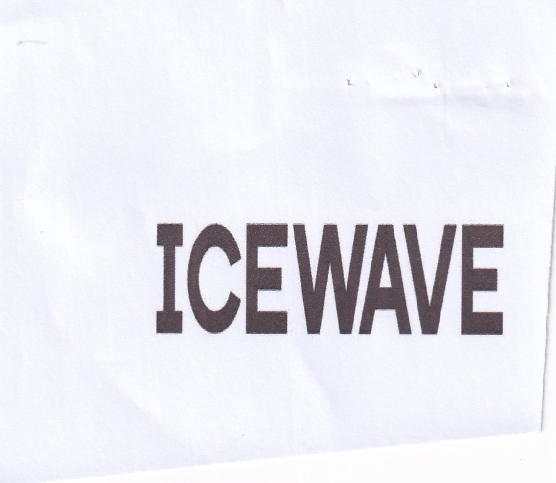 Publication Image