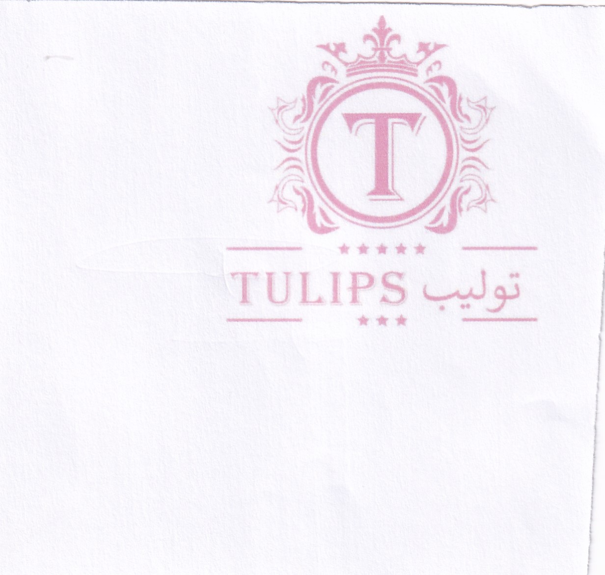 Publication Image
