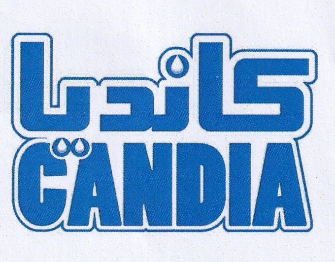 Publication Image