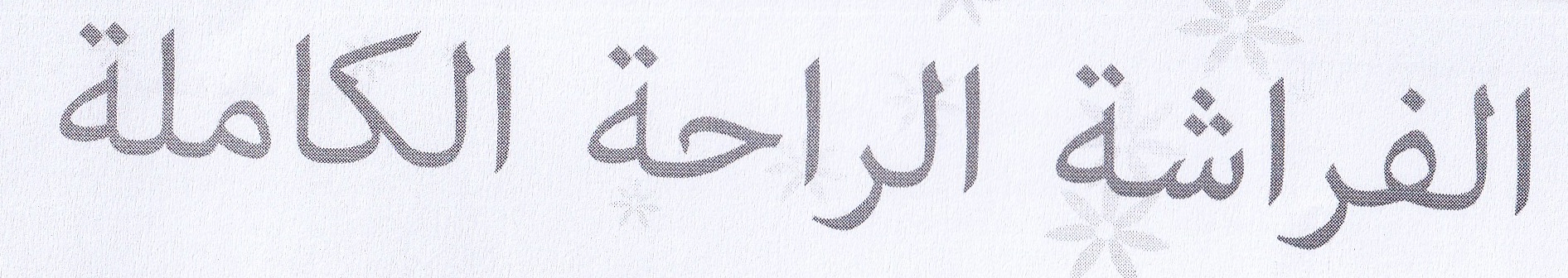 Publication Image