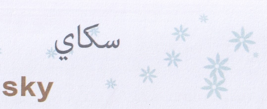 Publication Image