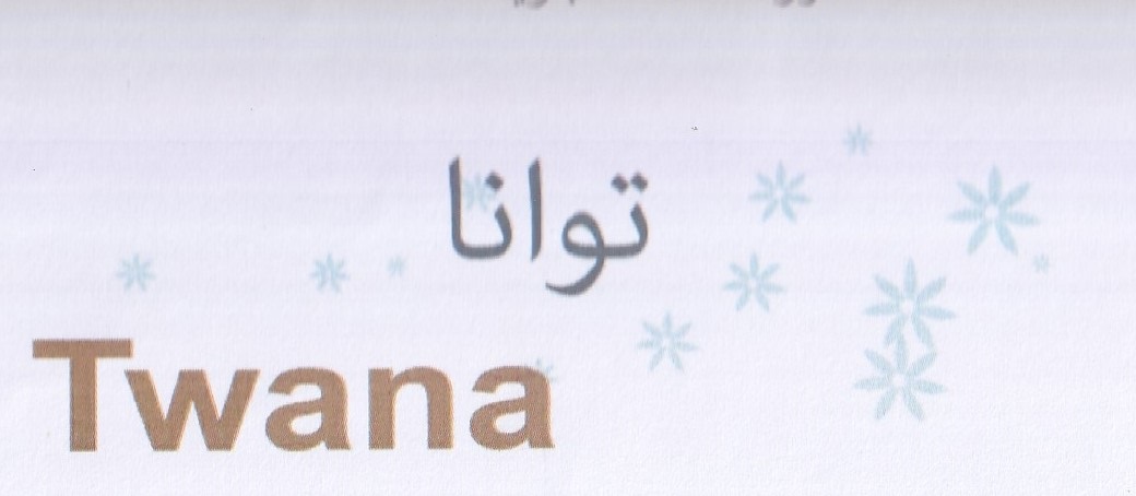 Publication Image