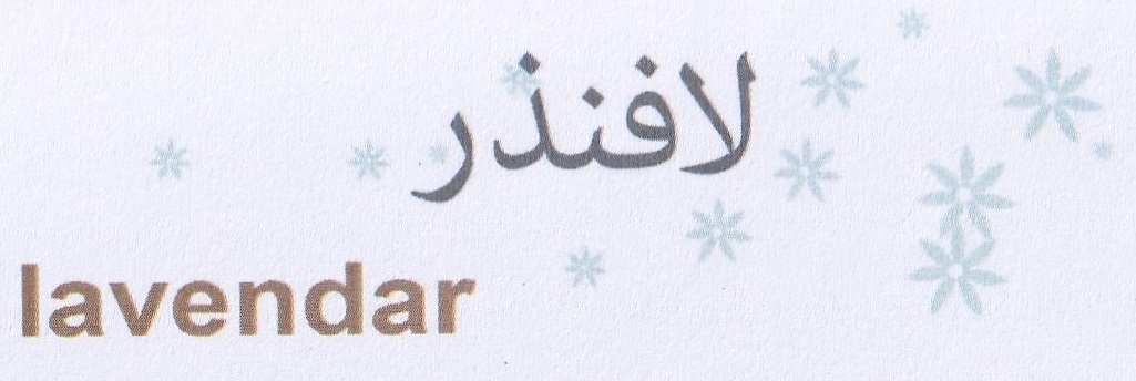 Publication Image