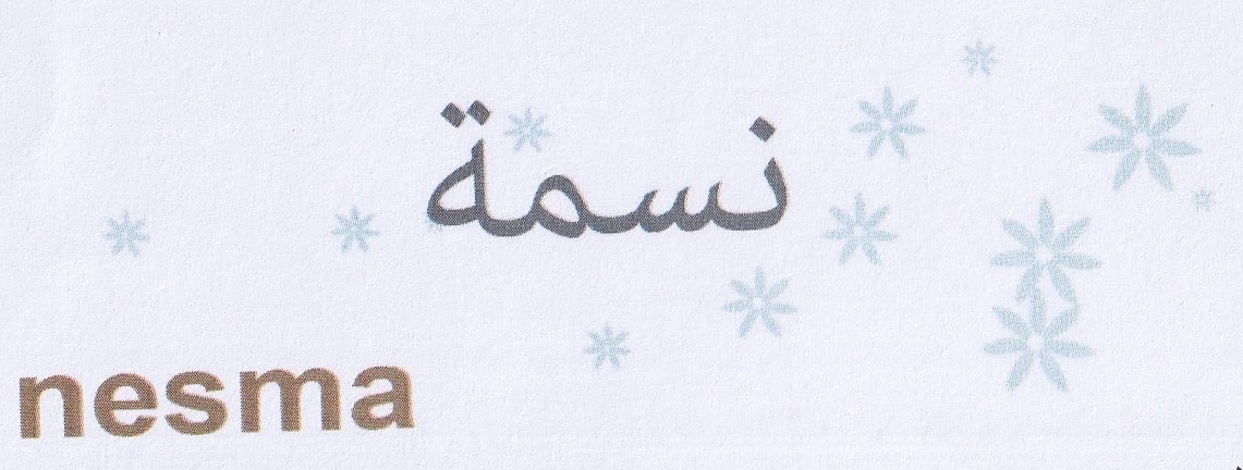 Publication Image