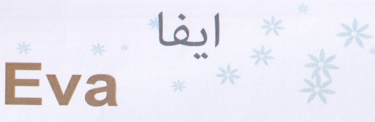 Publication Image